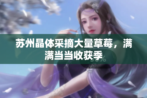 苏州晶体采摘大量草莓，满满当当收获季