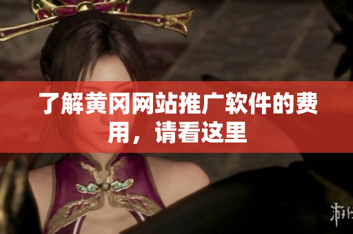了解黄冈网站推广软件的费用，请看这里
