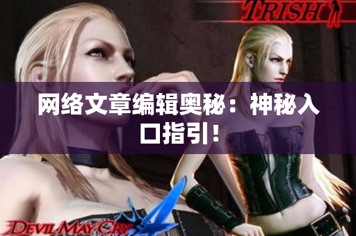 网络文章编辑奥秘：神秘入口指引！