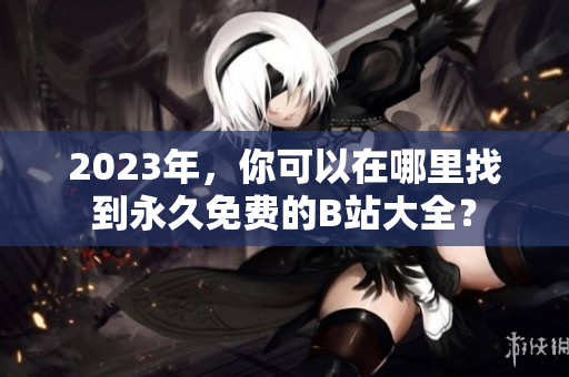 2023年，你可以在哪里找到永久免费的B站大全？