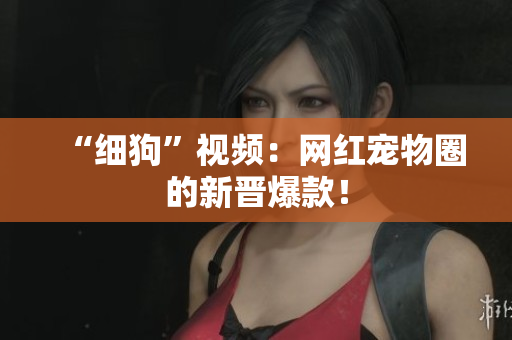 “细狗”视频：网红宠物圈的新晋爆款！