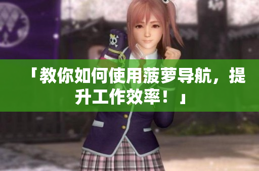 「教你如何使用菠萝导航，提升工作效率！」