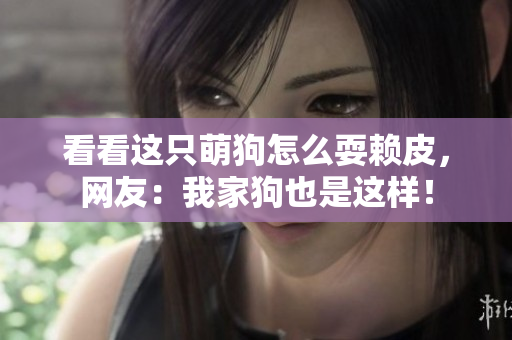 看看这只萌狗怎么耍赖皮，网友：我家狗也是这样！