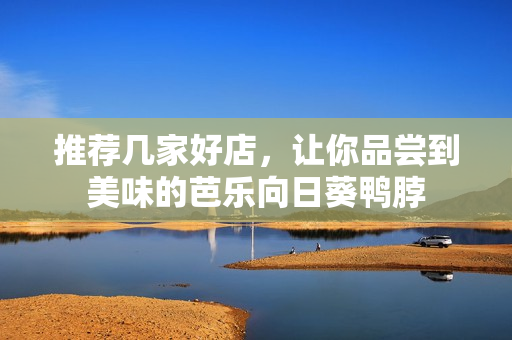 推荐几家好店，让你品尝到美味的芭乐向日葵鸭脖
