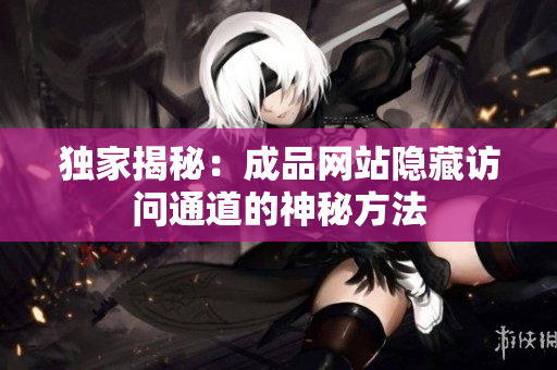 独家揭秘：成品网站隐藏访问通道的神秘方法