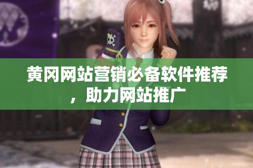 黄冈网站营销必备软件推荐，助力网站推广