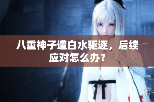 八重神子遭白水驱逐，后续应对怎么办？