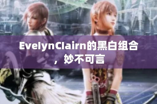 EveIynCIairn的黑白组合，妙不可言