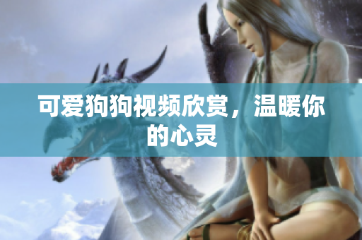 可爱狗狗视频欣赏，温暖你的心灵