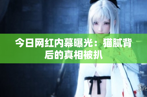 今日网红内幕曝光：猫腻背后的真相被扒