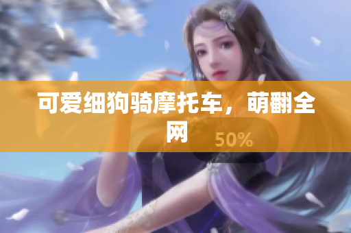 可爱细狗骑摩托车，萌翻全网