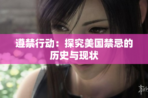 遵禁行动：探究美国禁忌的历史与现状