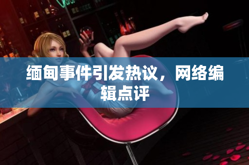 缅甸事件引发热议，网络编辑点评