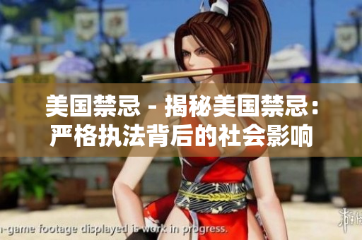 美国禁忌 - 揭秘美国禁忌：严格执法背后的社会影响