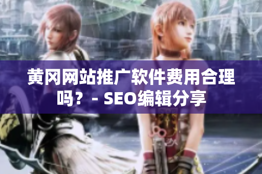 黄冈网站推广软件费用合理吗？- SEO编辑分享