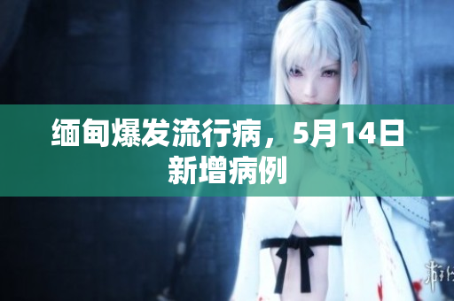缅甸爆发流行病，5月14日新增病例