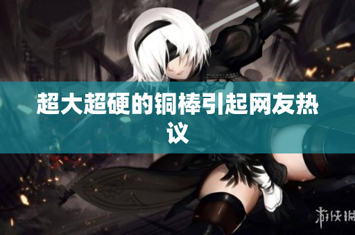 超大超硬的铜棒引起网友热议