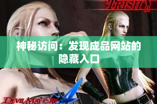 神秘访问：发现成品网站的隐藏入口
