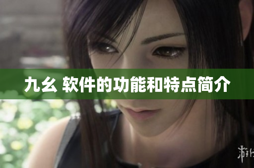 九幺 软件的功能和特点简介