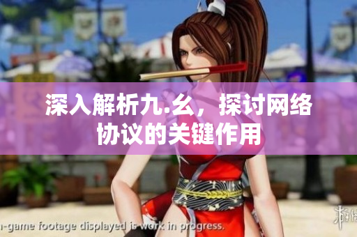 深入解析九.幺，探讨网络协议的关键作用