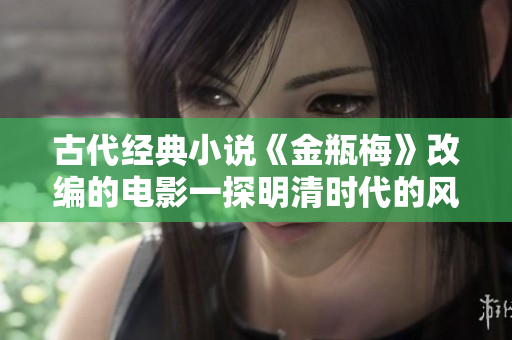 古代经典小说《金瓶梅》改编的电影一探明清时代的风月人情