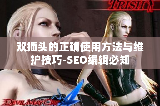 双插头的正确使用方法与维护技巧-SEO编辑必知