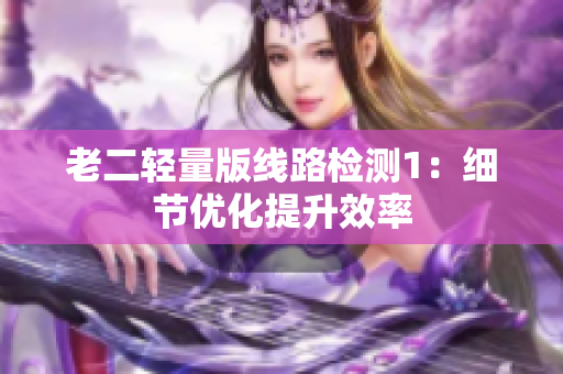 老二轻量版线路检测1：细节优化提升效率