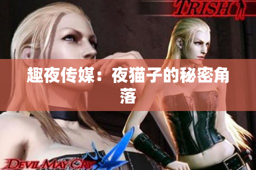 趣夜传媒：夜猫子的秘密角落