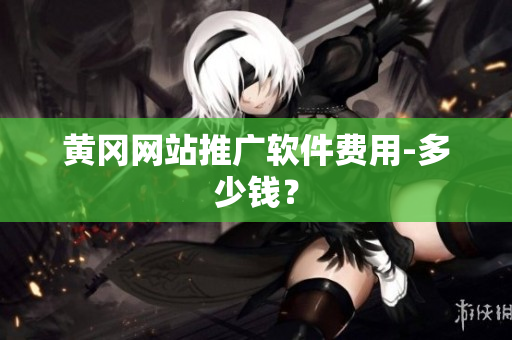 黄冈网站推广软件费用-多少钱？
