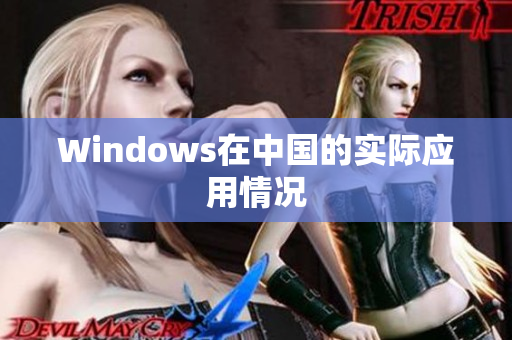 Windows在中国的实际应用情况