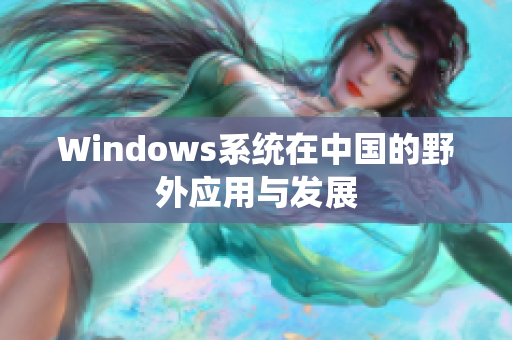 Windows系统在中国的野外应用与发展