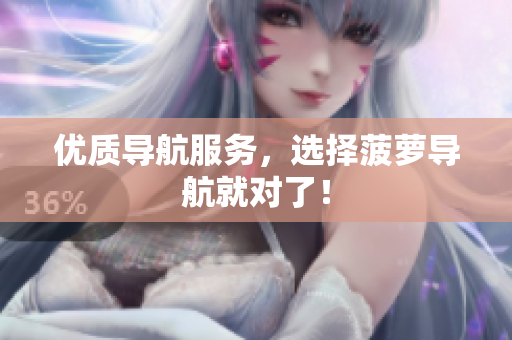 优质导航服务，选择菠萝导航就对了！