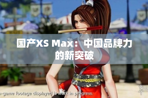 国产XS Max：中国品牌力的新突破
