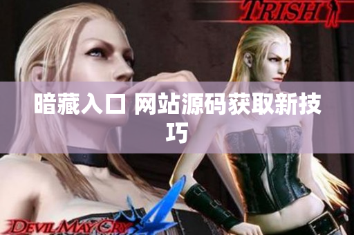 暗藏入口 网站源码获取新技巧