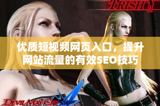 优质短视频网页入口，提升网站流量的有效SEO技巧