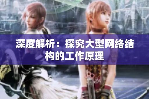 深度解析：探究大型网络结构的工作原理