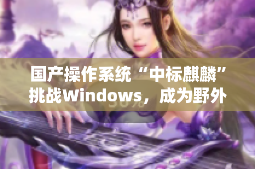 国产操作系统“中标麒麟”挑战Windows，成为野外黑马