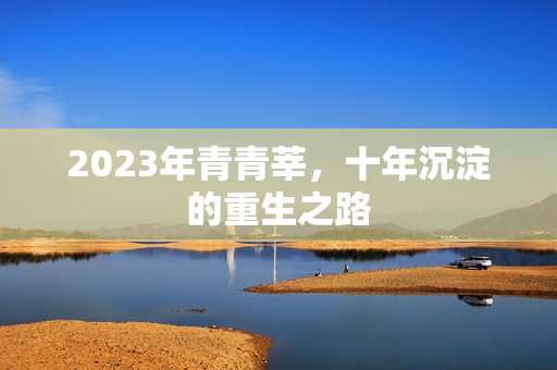 2023年青青莘，十年沉淀的重生之路