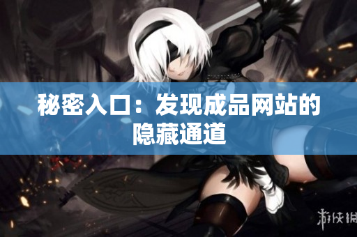 秘密入口：发现成品网站的隐藏通道