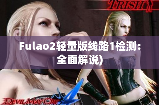 Fulao2轻量版线路1检测：全面解说)