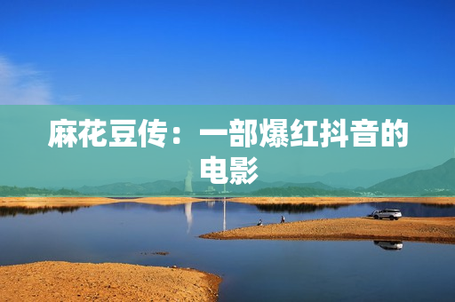 麻花豆传：一部爆红抖音的电影
