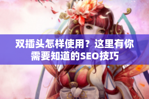 双插头怎样使用？这里有你需要知道的SEO技巧