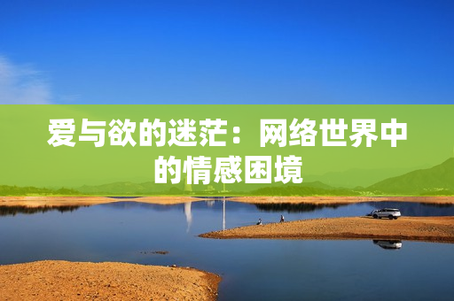 爱与欲的迷茫：网络世界中的情感困境