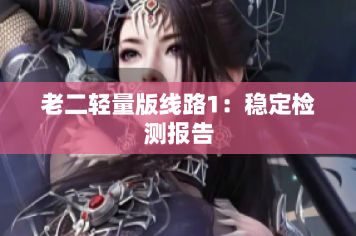 老二轻量版线路1：稳定检测报告