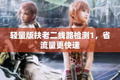 轻量版扶老二线路检测1，省流量更快速