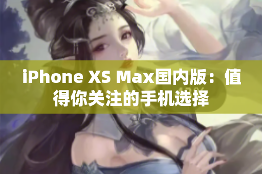 iPhone XS Max国内版：值得你关注的手机选择