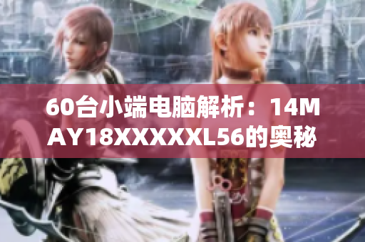 60台小端电脑解析：14MAY18XXXXXL56的奥秘