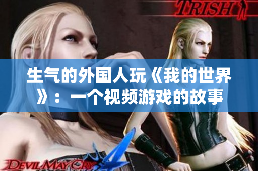 生气的外国人玩《我的世界》：一个视频游戏的故事