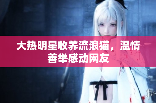 大热明星收养流浪猫，温情善举感动网友