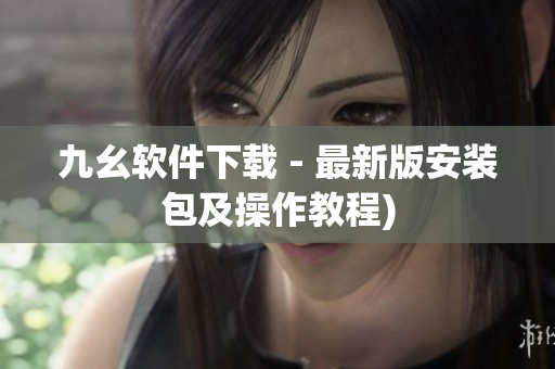 九幺软件下载 - 最新版安装包及操作教程)